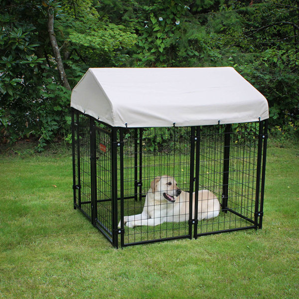 Lucky Dog Kennel Cover With Sunbrella® Fabric Wayfair Canada